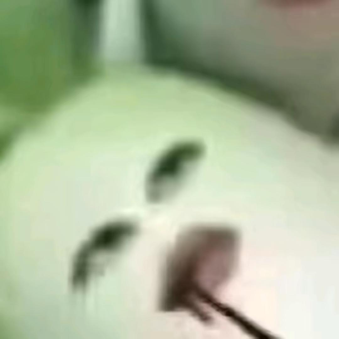 失眠兔
