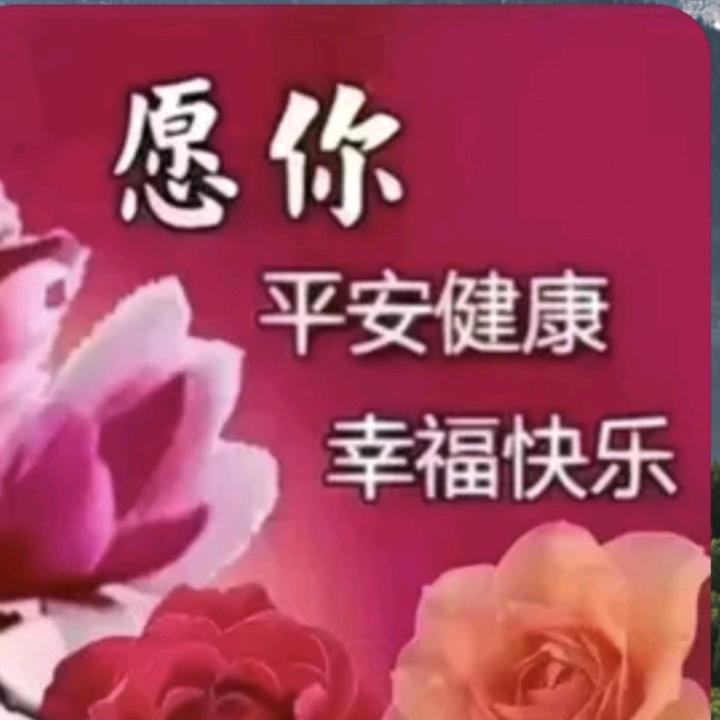 一世情缘