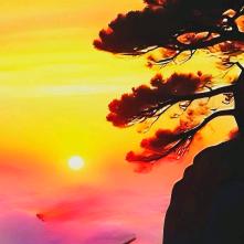 上善诺水