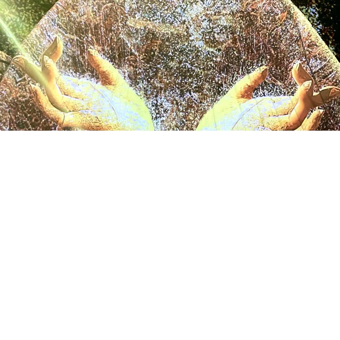 归悉