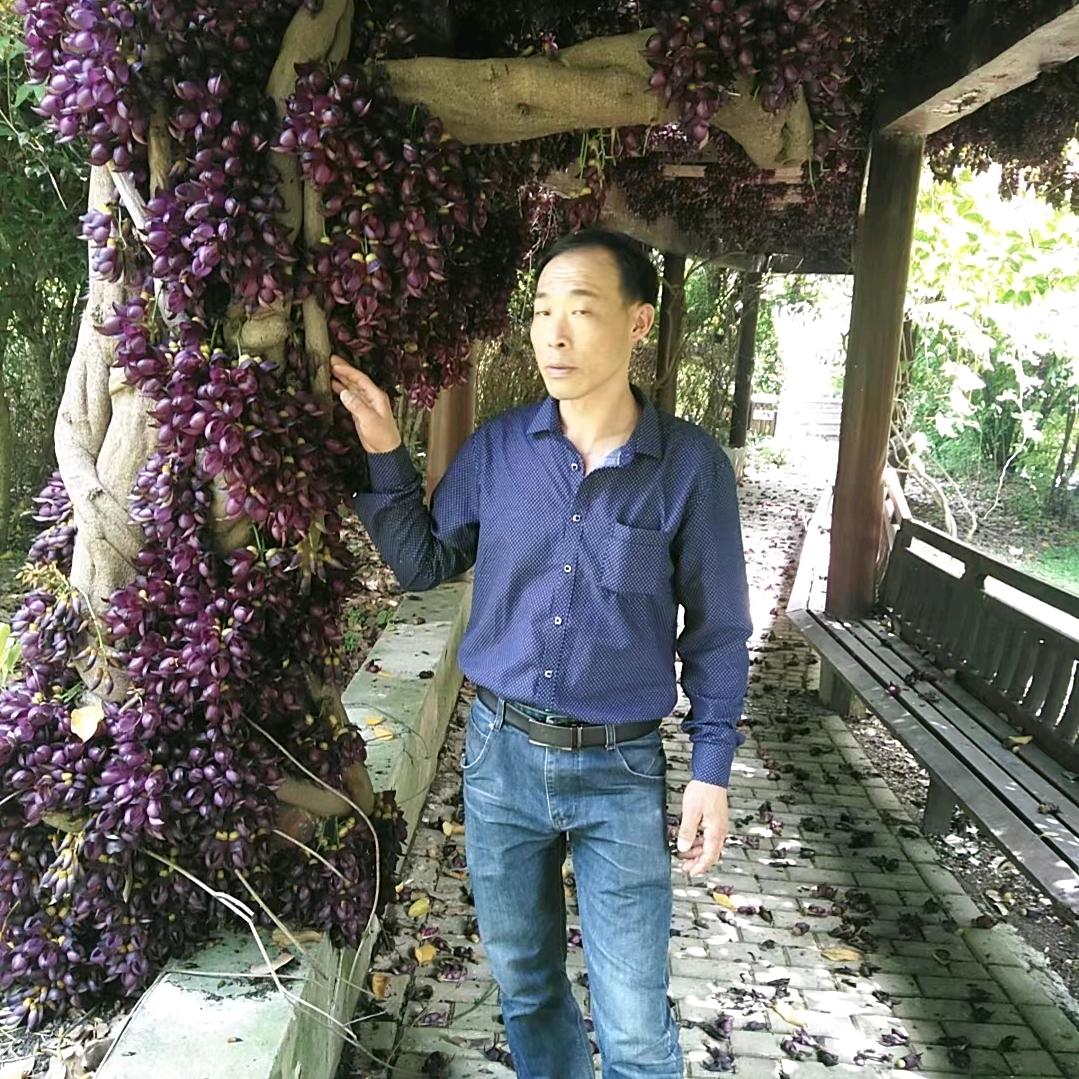 顺李🍒成章