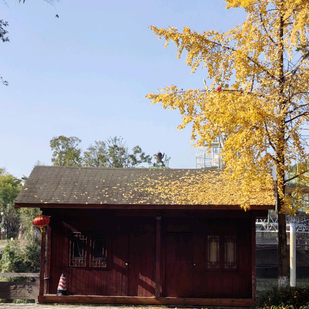 （悟）简单生活