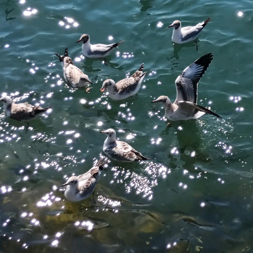 A空调安装维修出售