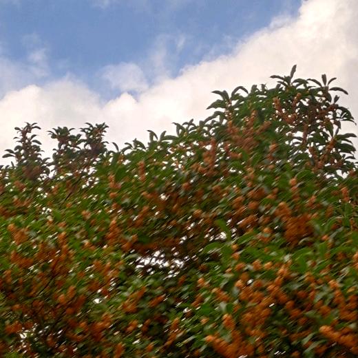 💞ℒᎭℯ⃝余生ᩚ安ᮨ໌້好࿐