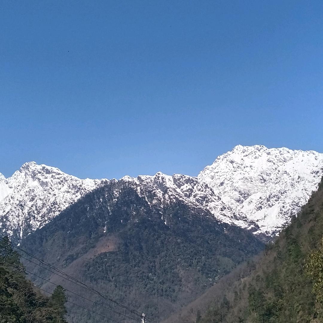 阿木