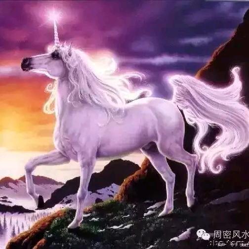 岁月静好