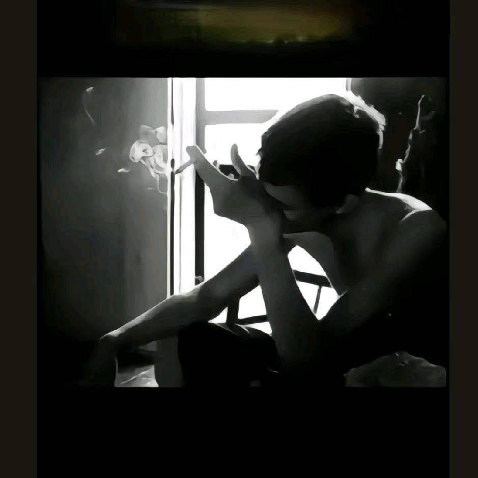 毛毛虫🌹