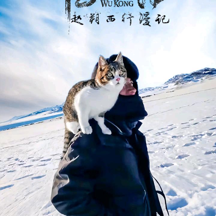 拾肆🚒
