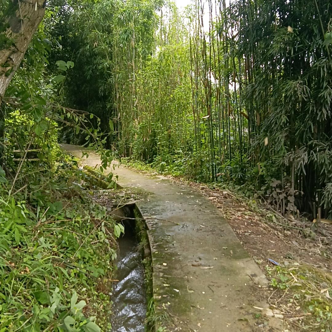 时来运转