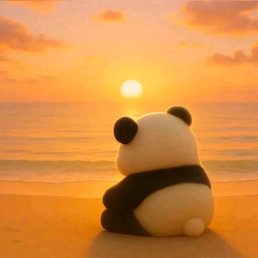 🌻明天会更好🍀🌹