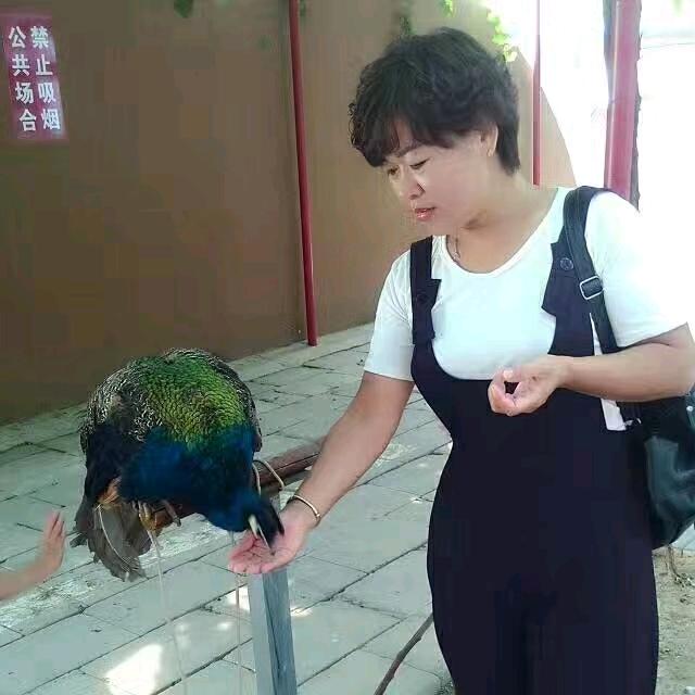 乔乔零食屋