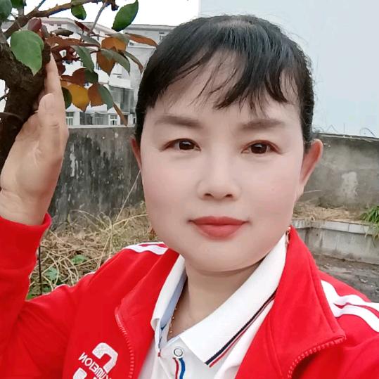 花落花开