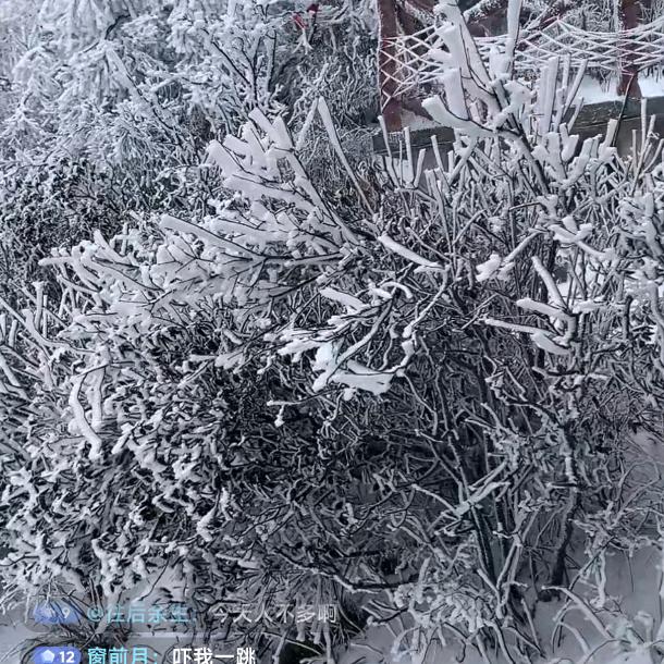 彦龙啊啊啊啊啊