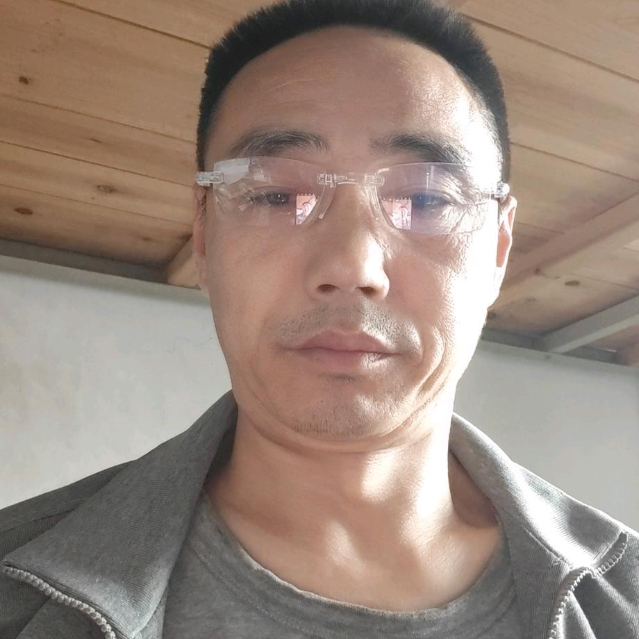 失群的雁