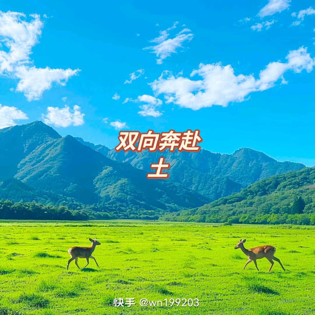 乔🇨🇳峰
