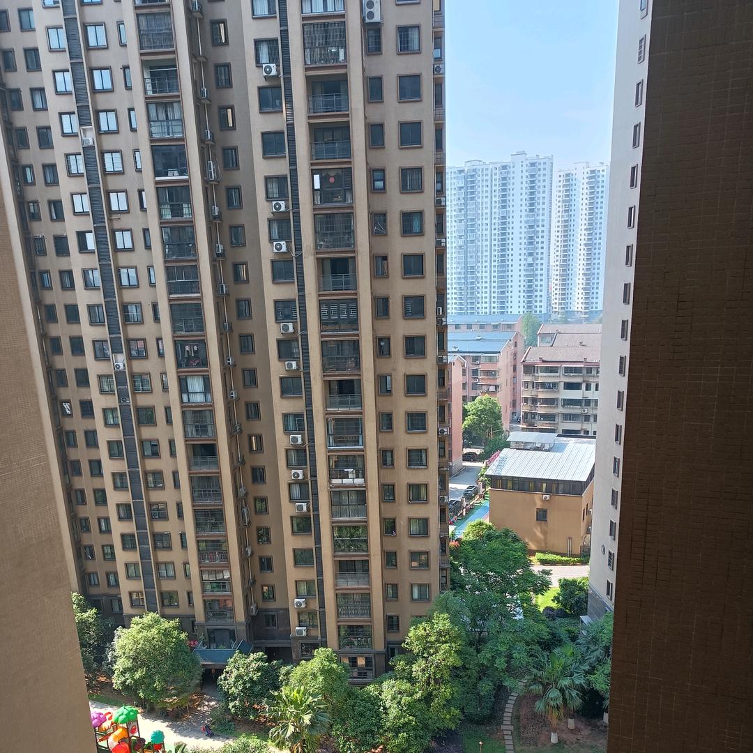 杨阳短视频