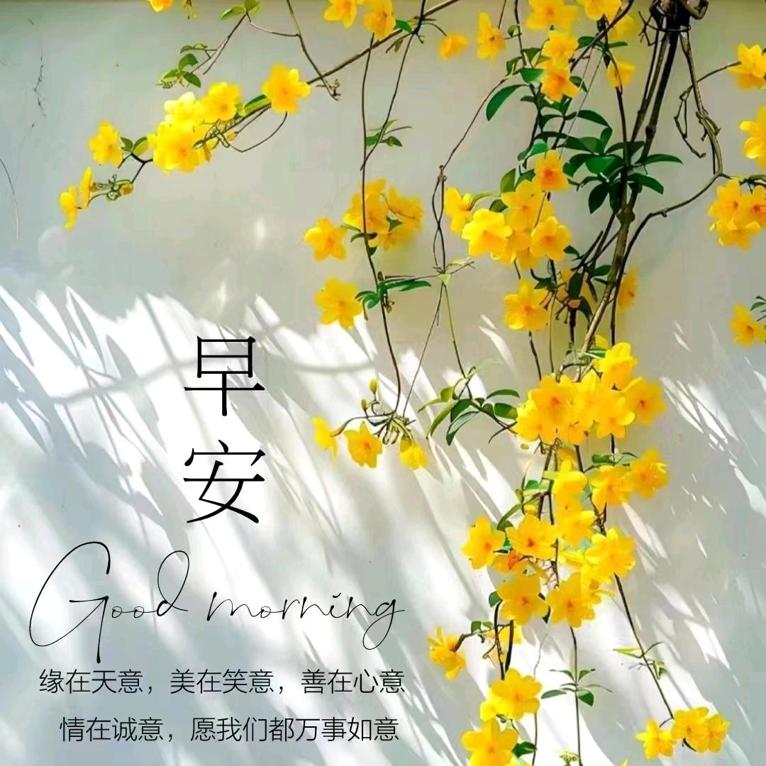 晨曦🔥