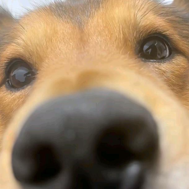 哎哟我去你的墨菲定律恶心的要死了我靠