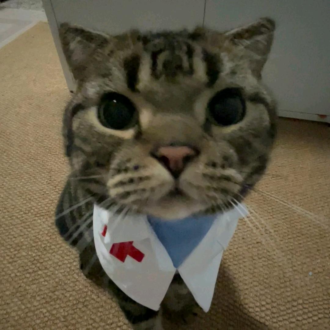vet 龚