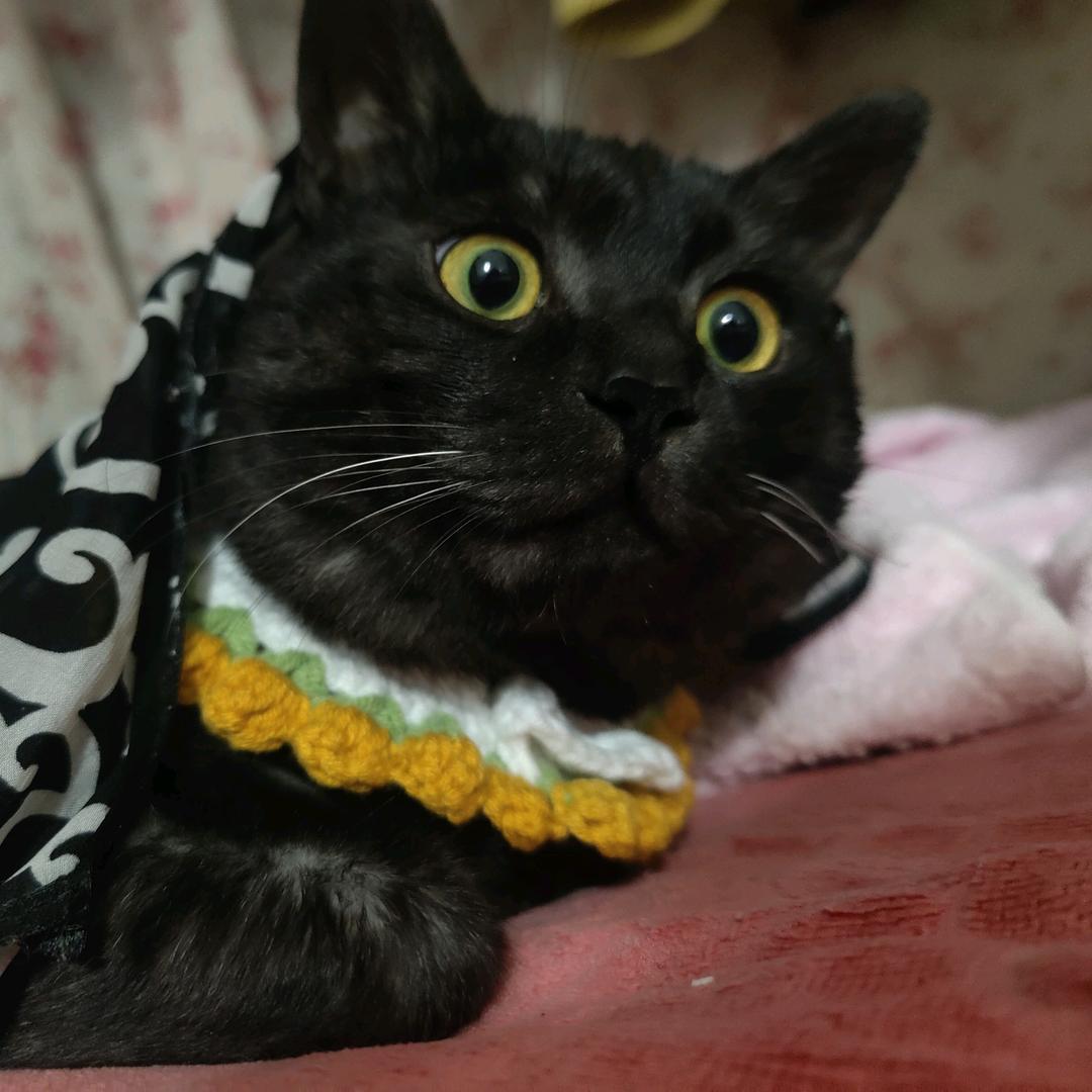 臭久