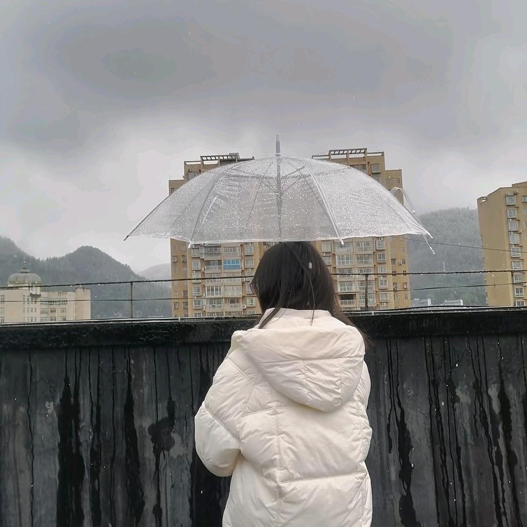 小陈妹