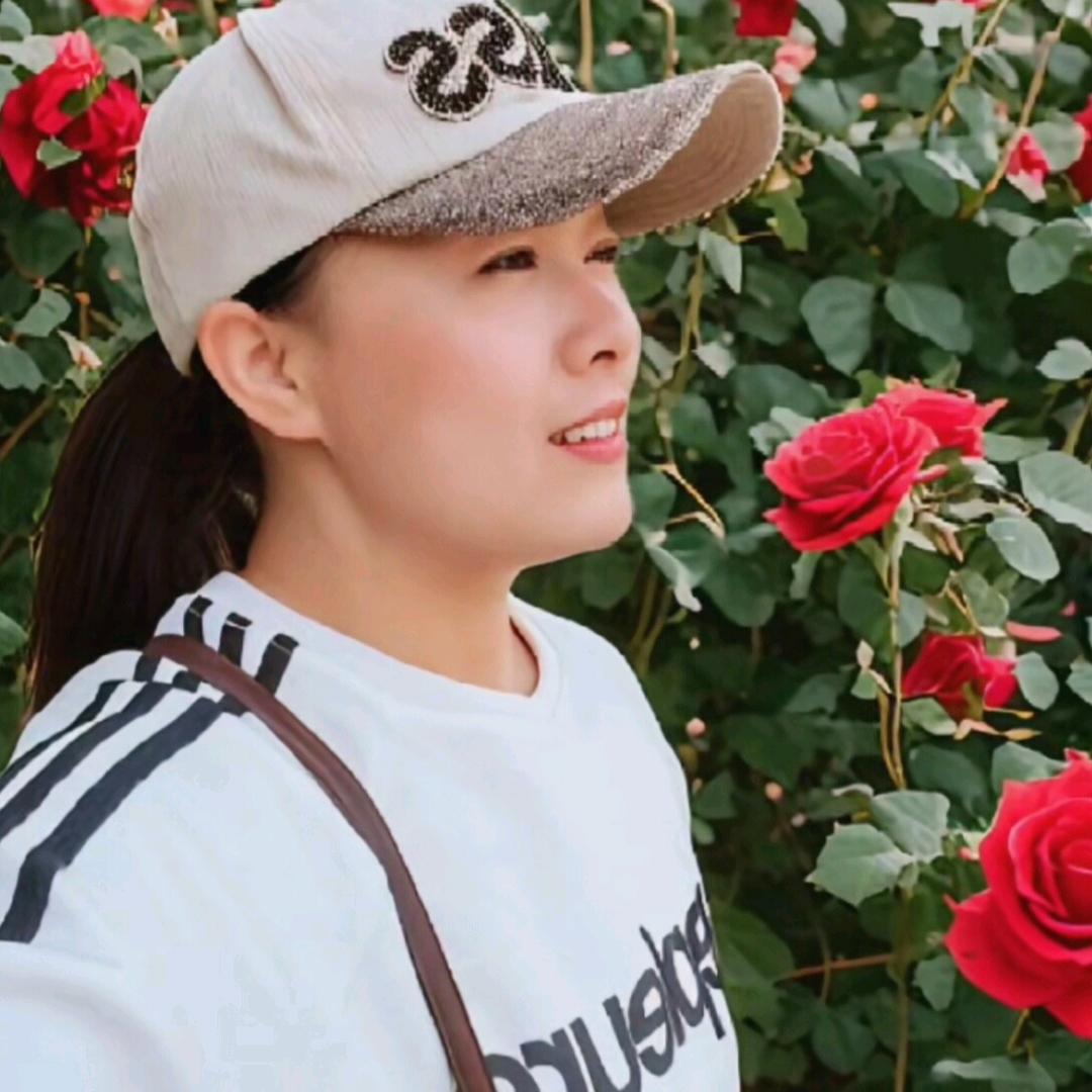 风儿带我去远方