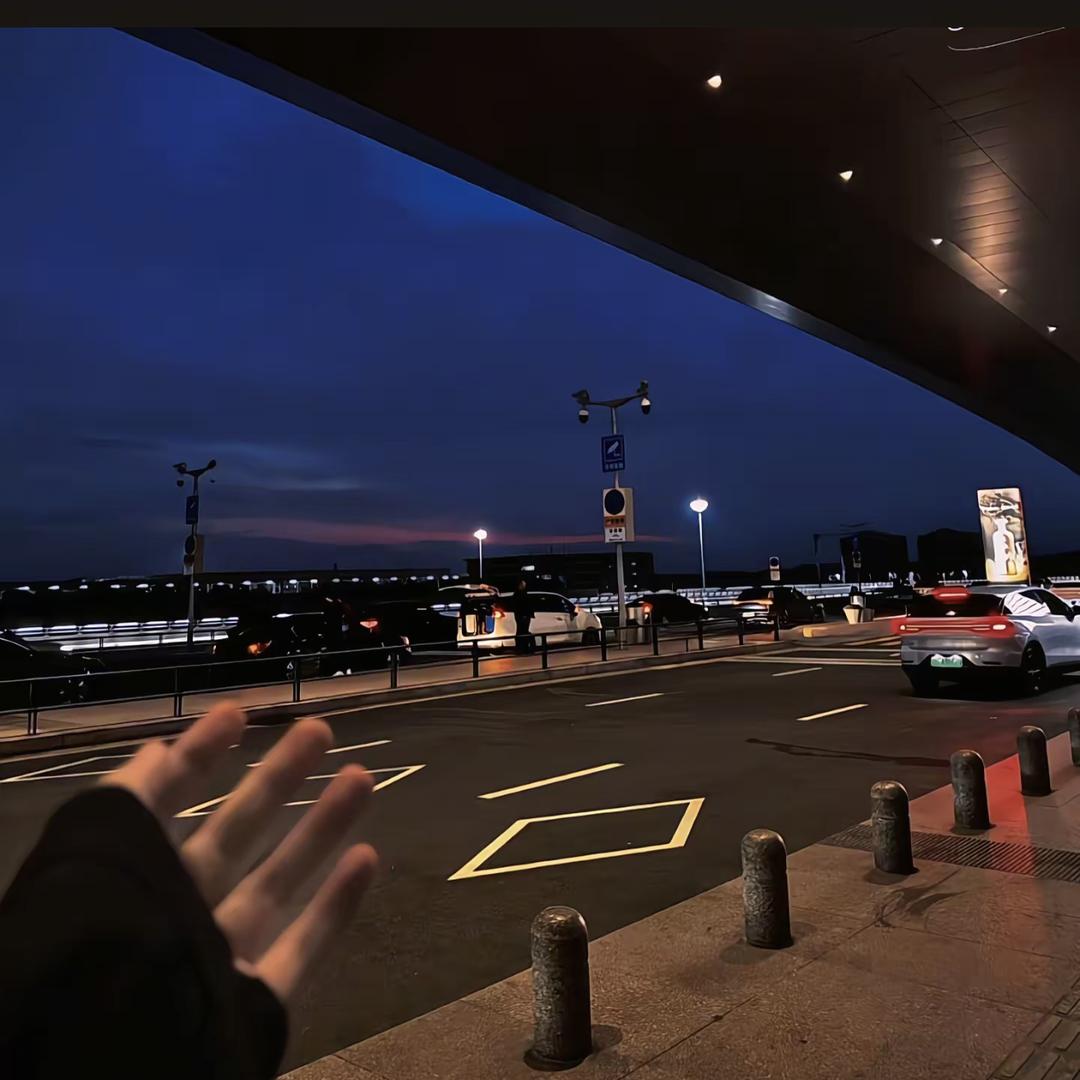 Sakura 迎着阳光盛大逃亡