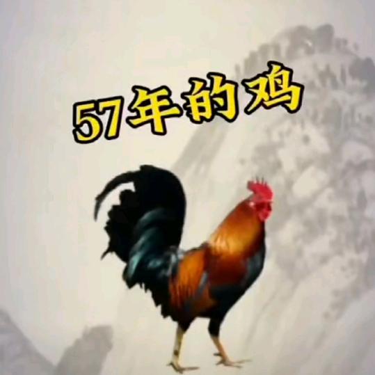 魏！人老心不老