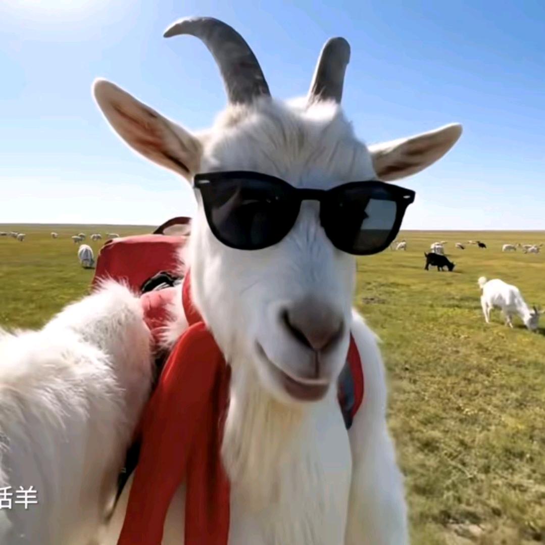 想改个名字不知道起什么好