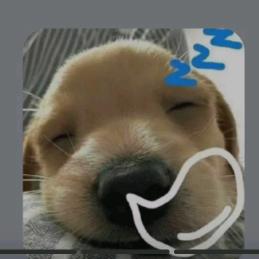 泡泡不咕咕