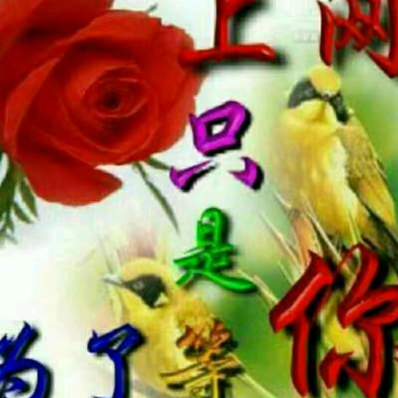 心比天高🇨🇳🇨🇳🇨🇳