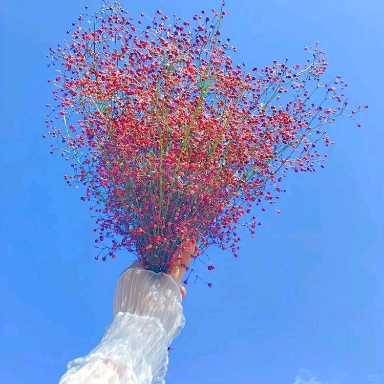 我是爹的丫