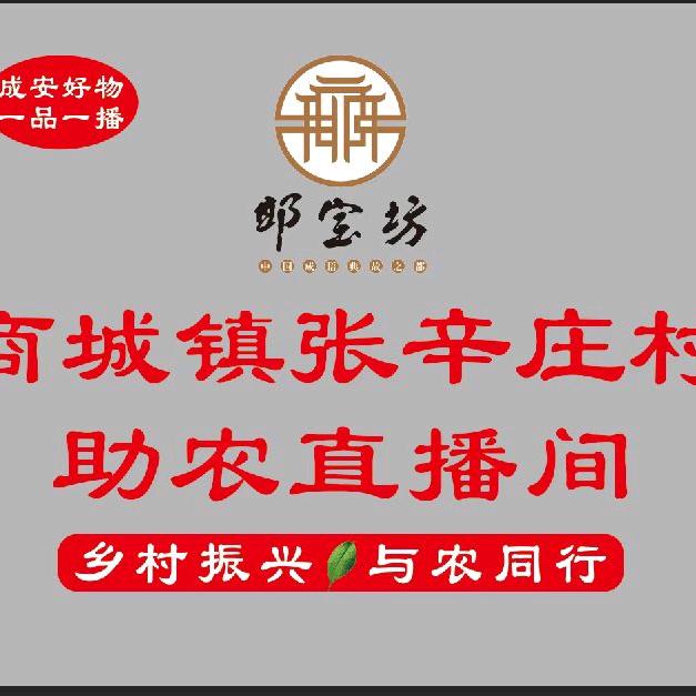 《乡村之声》张