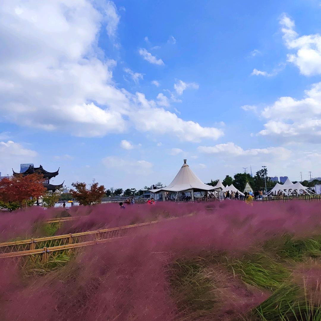 阳光正好🌸