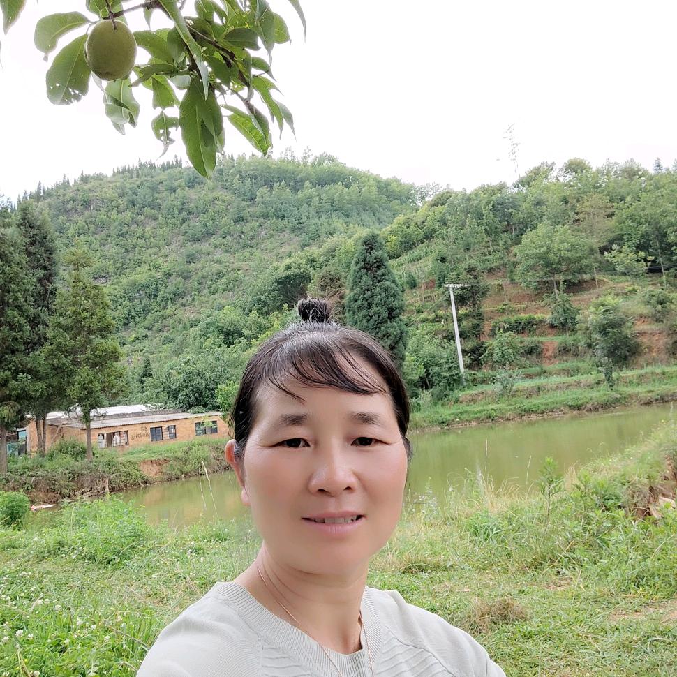 年年发财
