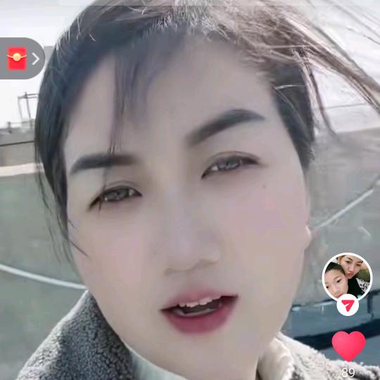 静默幽兰
