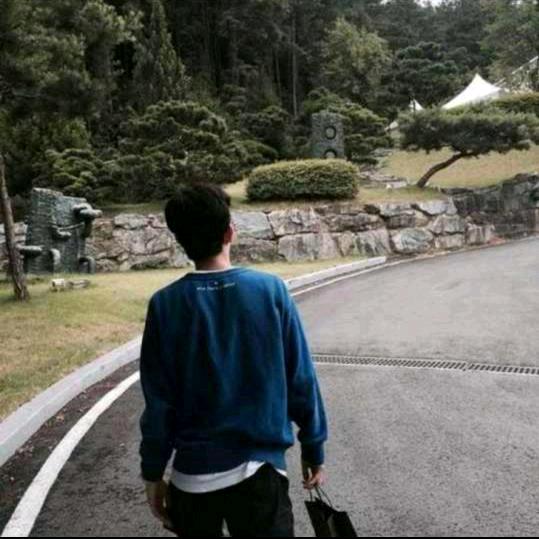 远走高飞