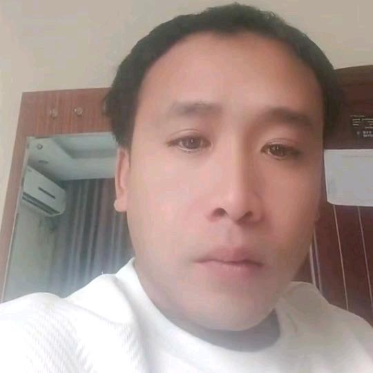 （林）（权）线线