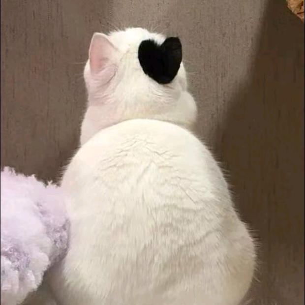 笑笑DIY潮玩（欧皇版）