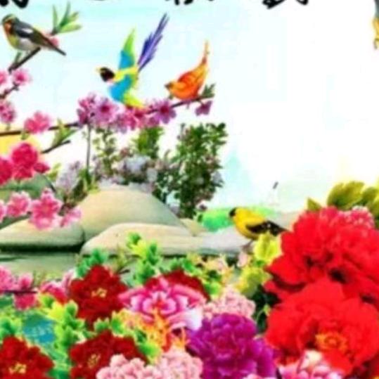 🌺一生有你🌹