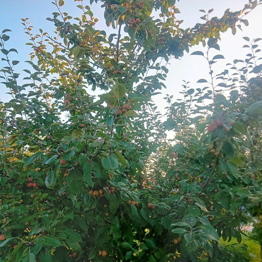 牵着蜗牛去赶集