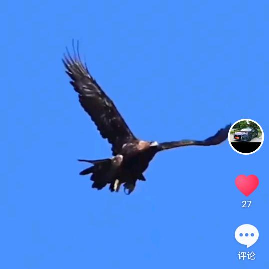 一失足成千古恨