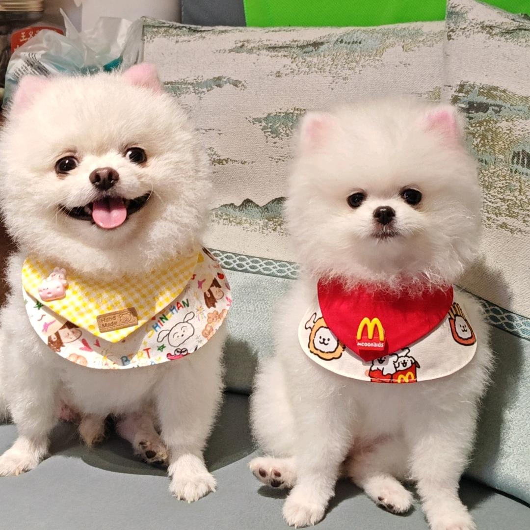 🍒随心