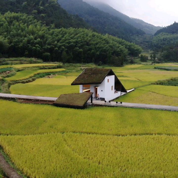 万万没想到