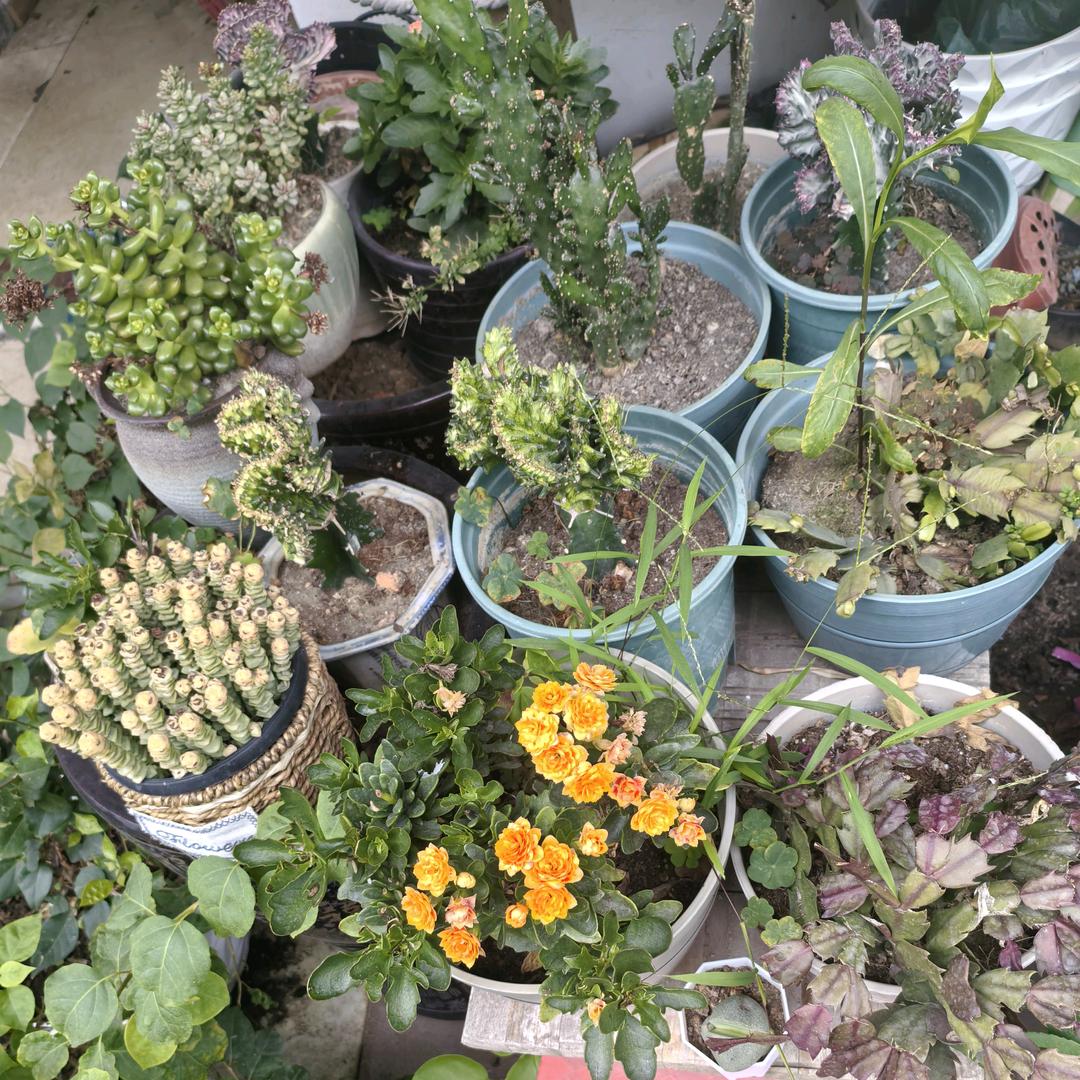 ❤独💖步❤天💖下