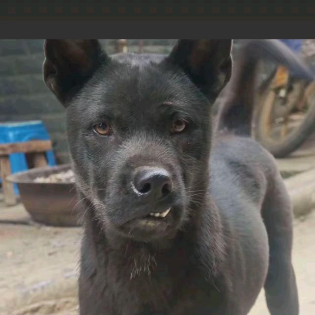 ∵