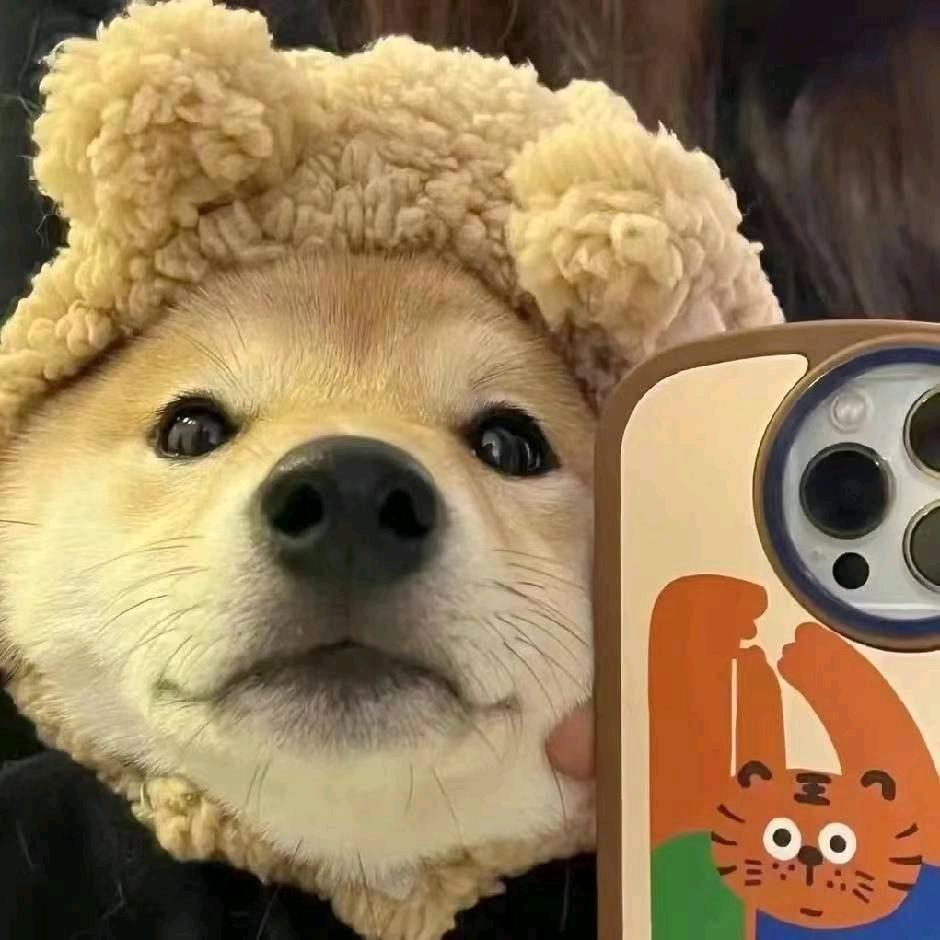 扶残聋人就业一桐桐