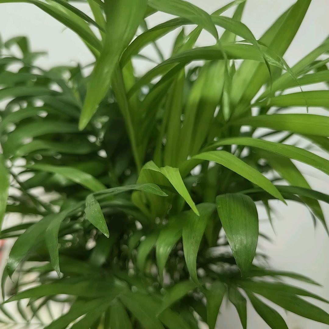 缘来是你🌻🌻