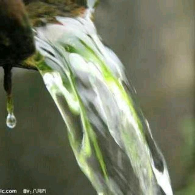 溪水