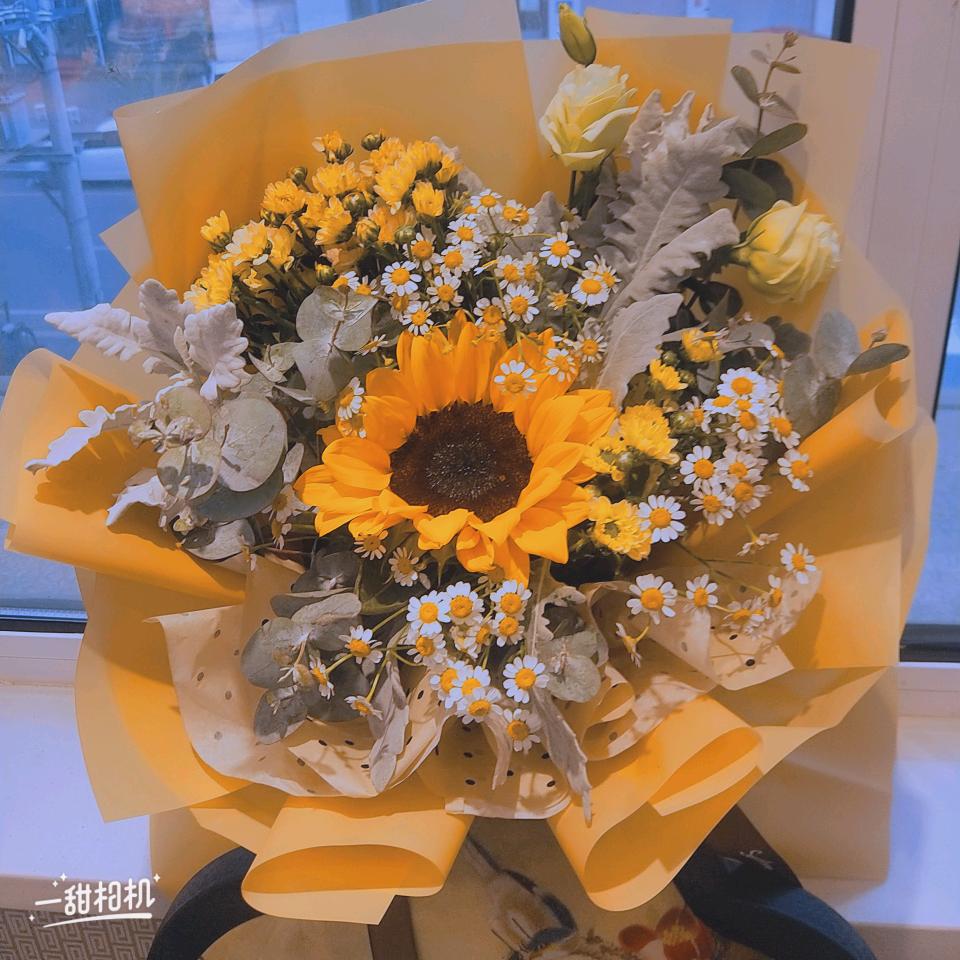 橘子超甜（目标瘦10斤）